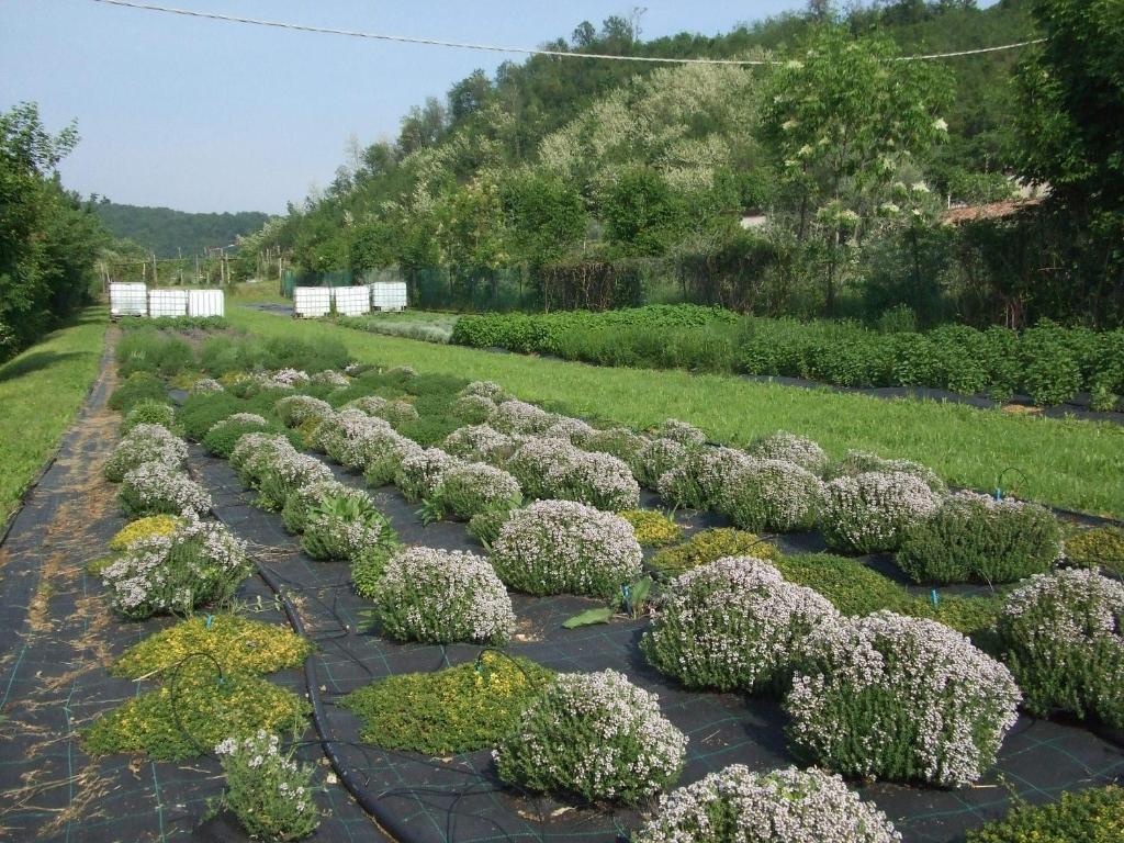 Agriturismo Cascina Rossano Provaglio d'Iseo Dış mekan fotoğraf