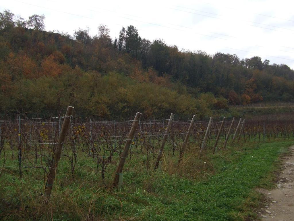 Agriturismo Cascina Rossano Provaglio d'Iseo Dış mekan fotoğraf