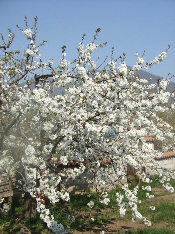 Agriturismo Cascina Rossano Provaglio d'Iseo Dış mekan fotoğraf