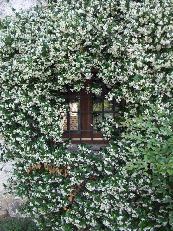 Agriturismo Cascina Rossano Provaglio d'Iseo Dış mekan fotoğraf