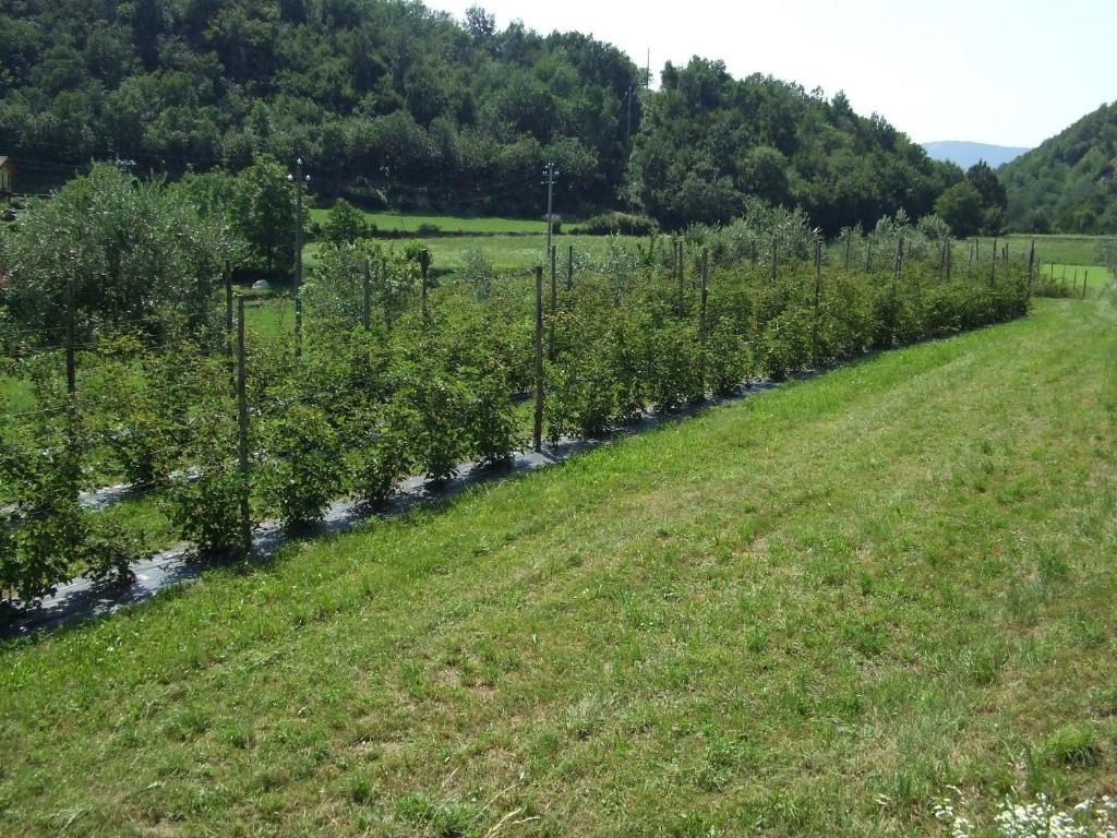 Agriturismo Cascina Rossano Provaglio d'Iseo Dış mekan fotoğraf