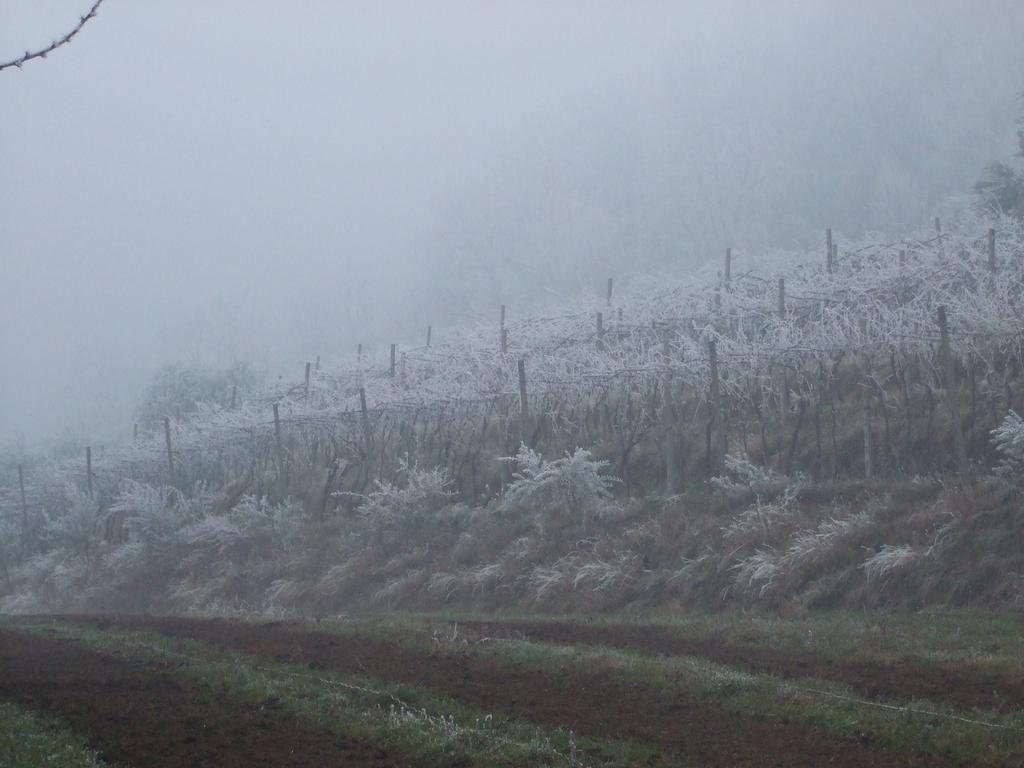 Agriturismo Cascina Rossano Provaglio d'Iseo Dış mekan fotoğraf